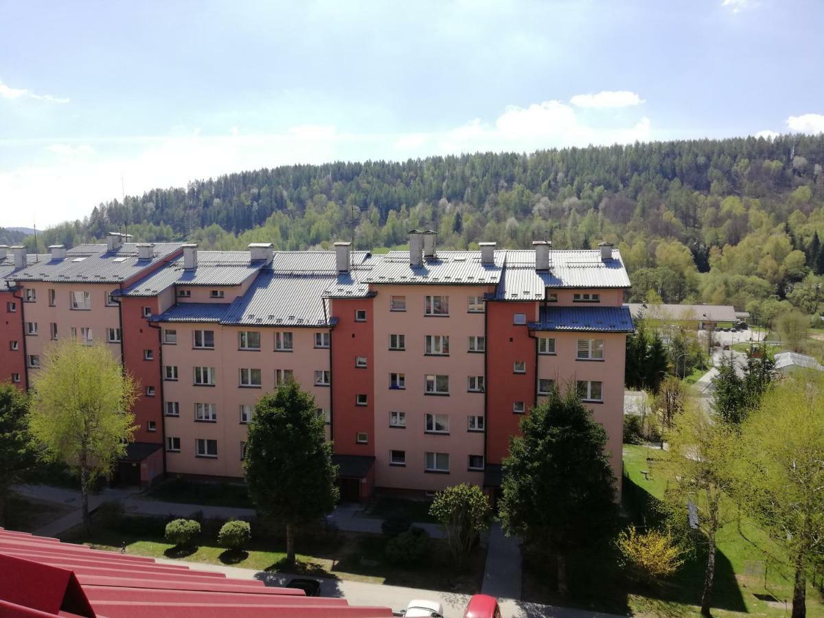 Apartamenty Bieszczadzki Aniol Ustrzyki Dolne Ngoại thất bức ảnh